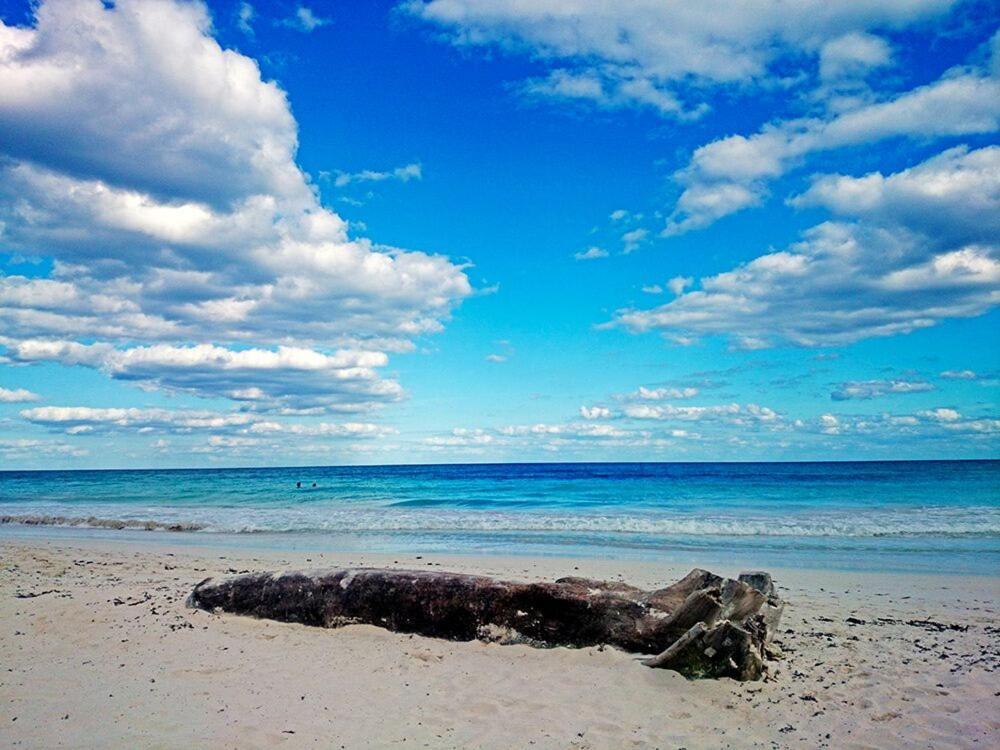 Alaya Tulum By Ahau Collection Hotel Luaran gambar
